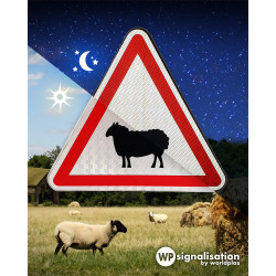 Panneau de signalisation A15A1 I Passage d'animaux domestiques I Panneau mouton | Film rétroréfléchissant | WP Signalisation