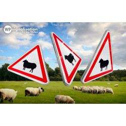 Panneau de signalisation A15A1 I Passage d'animaux domestiques I Panneau mouton en 360 dégrés | Campagne | WP Signalisation