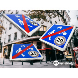 Panneau zone circulation sortie d'unee zone de rencontre B53