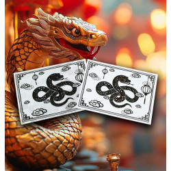 copy of Panneau personnalisé Dragon