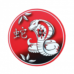 copy of Panneau personnalisé Dragon