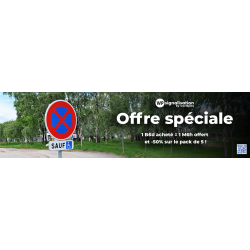 Panneau stationnement arrêt et stationnement interdits B6d