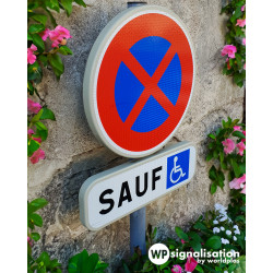 Panneau stationnement arrêt et stationnement interdits B6d