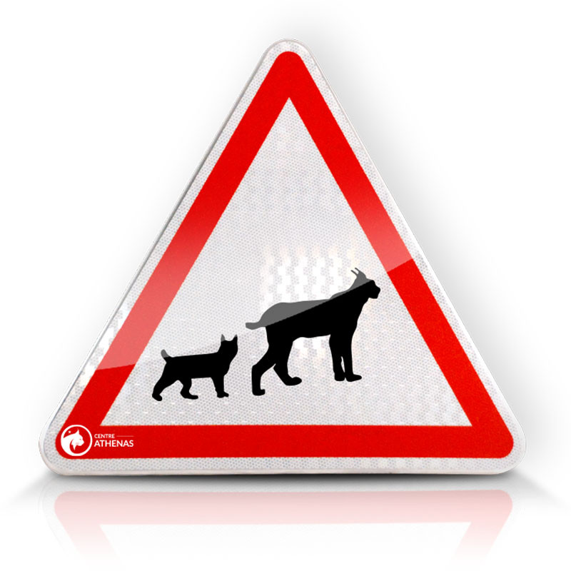 Panneau de danger passage d'animaux sauvages A15B