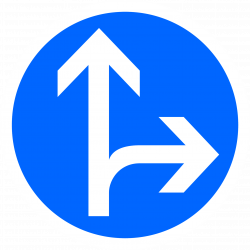 Panneau d'obligation directions tout droit ou à droite B21D1